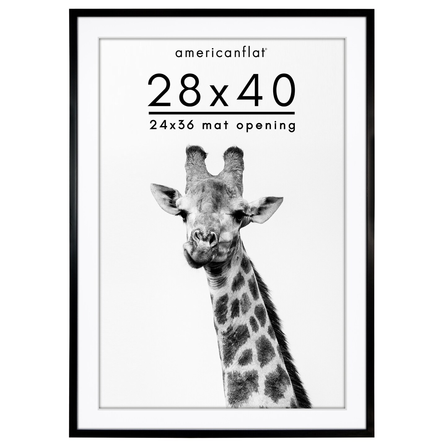 Americanflat Gallery-Style Picture Frame with Mat - Showcase Artwork, Prints, and Photos - Shatter Resistant Glass - Hanging Hardware with Drywall Anchor