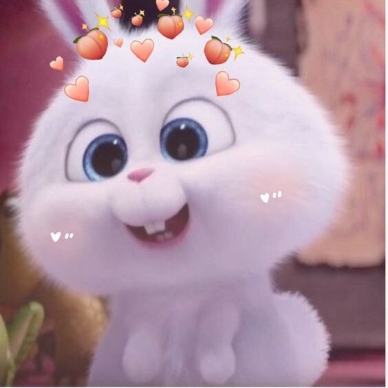 Snowballlovecheese Thumbnail
