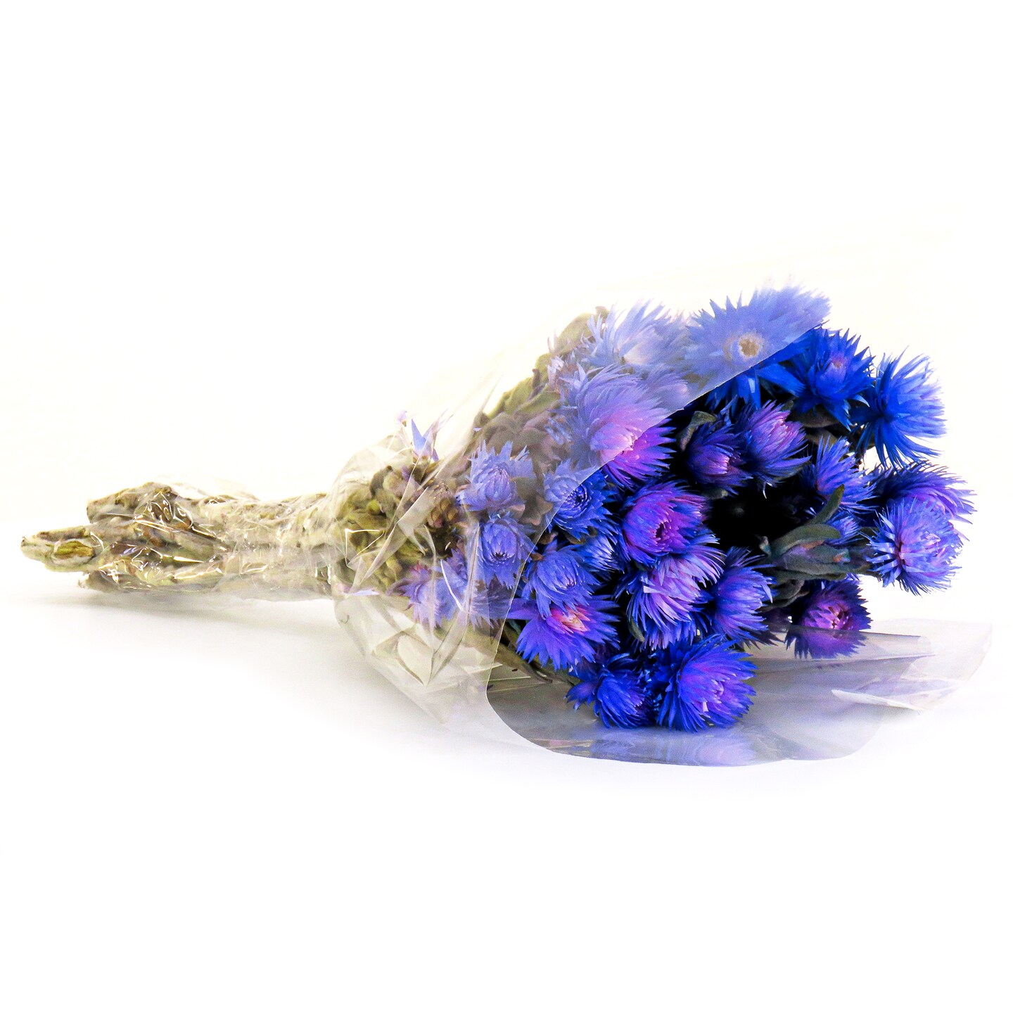 National Tree Company 16&#x22; Dried Blue Capeblumen Flowers Bouquet