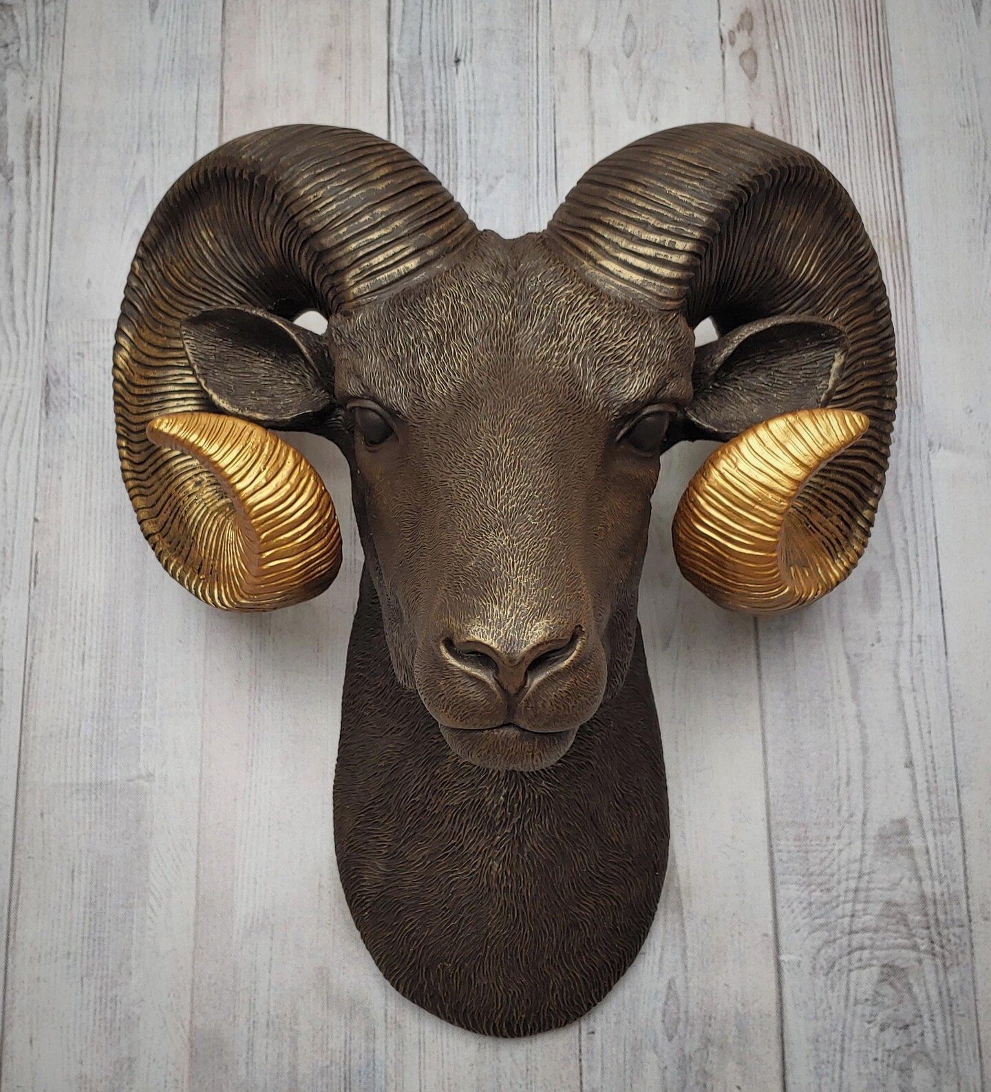 Faux Taxidermy Ram Head, Ram Head Wall Mount, Big Horn Sheep
