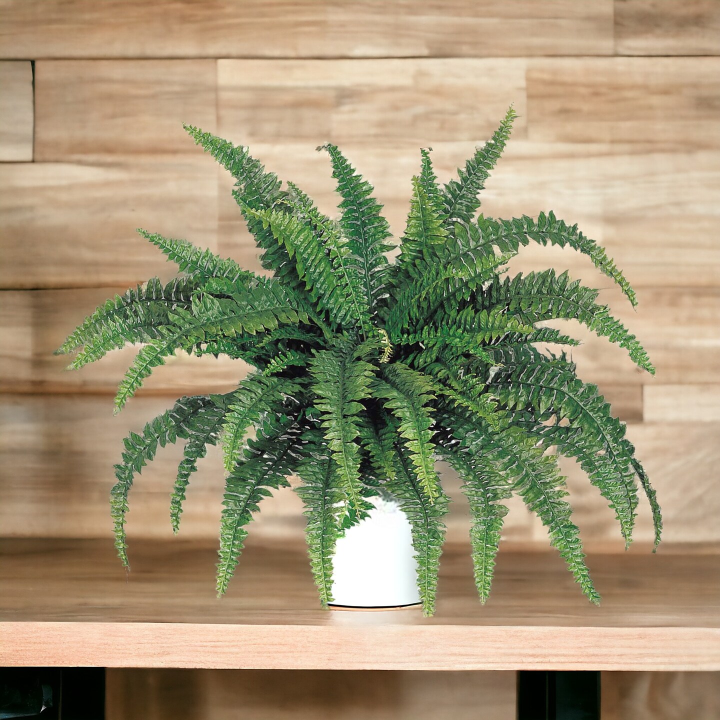 Set of 2 Boston Fern Plants 60 Silk Fronds, 48" Wide | UV Resistant Décor | Floral Home®