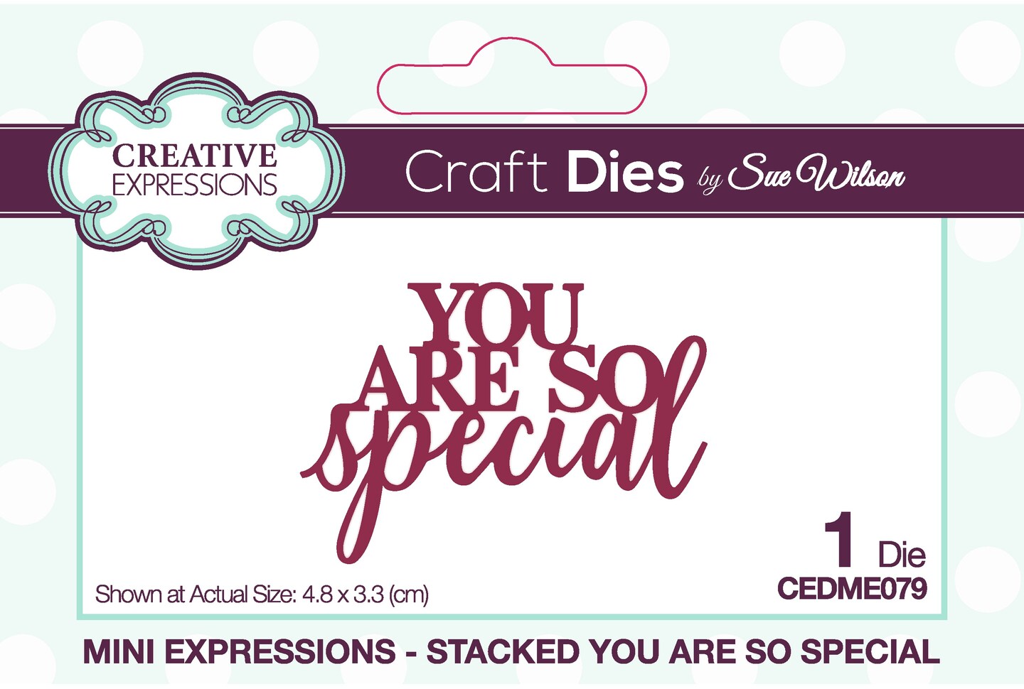 Creative Expressions Craft Dies By Sue Wilson-Mini Expressions- You Are So Special