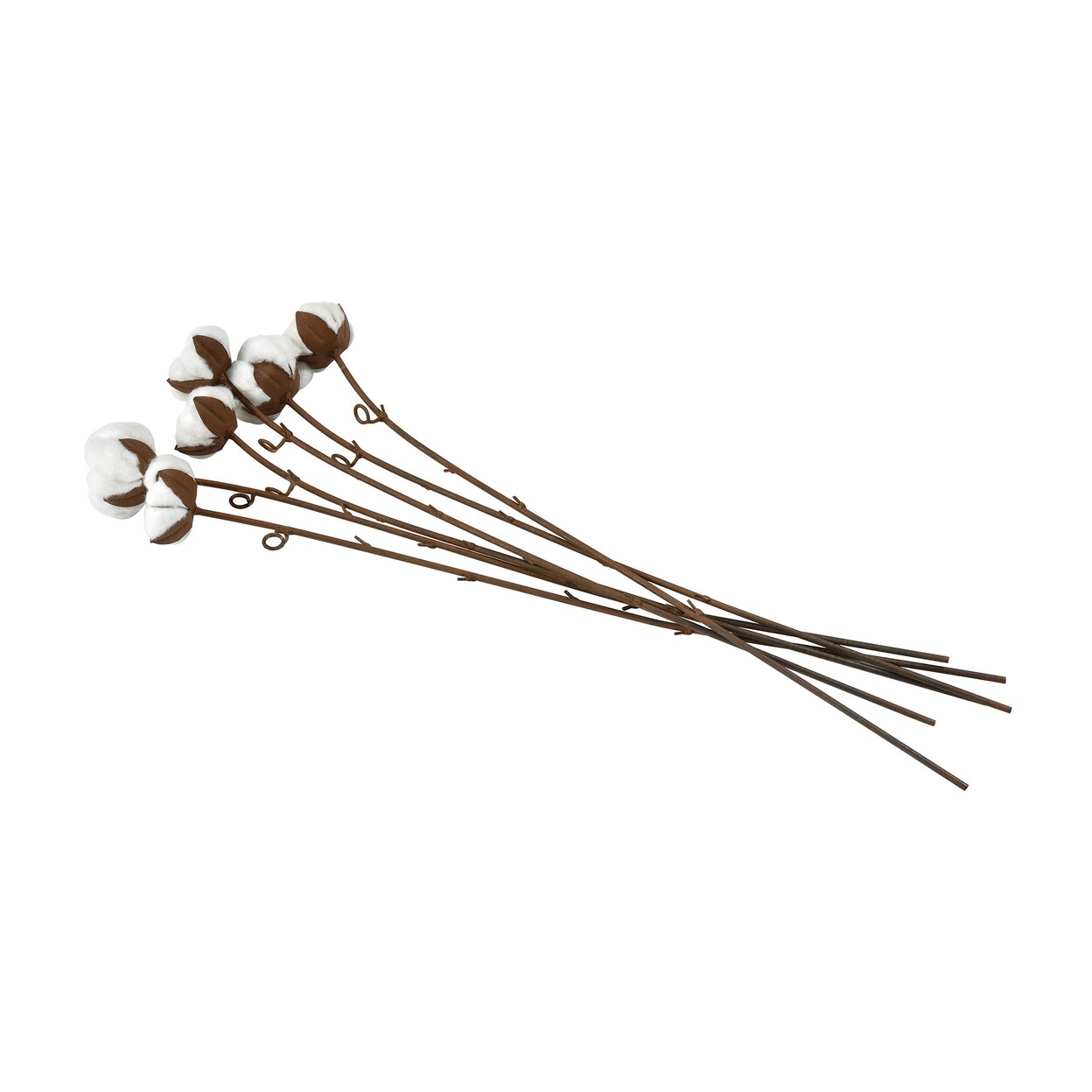 Graceland Cotton Sculpture (Set Of 6) - Small