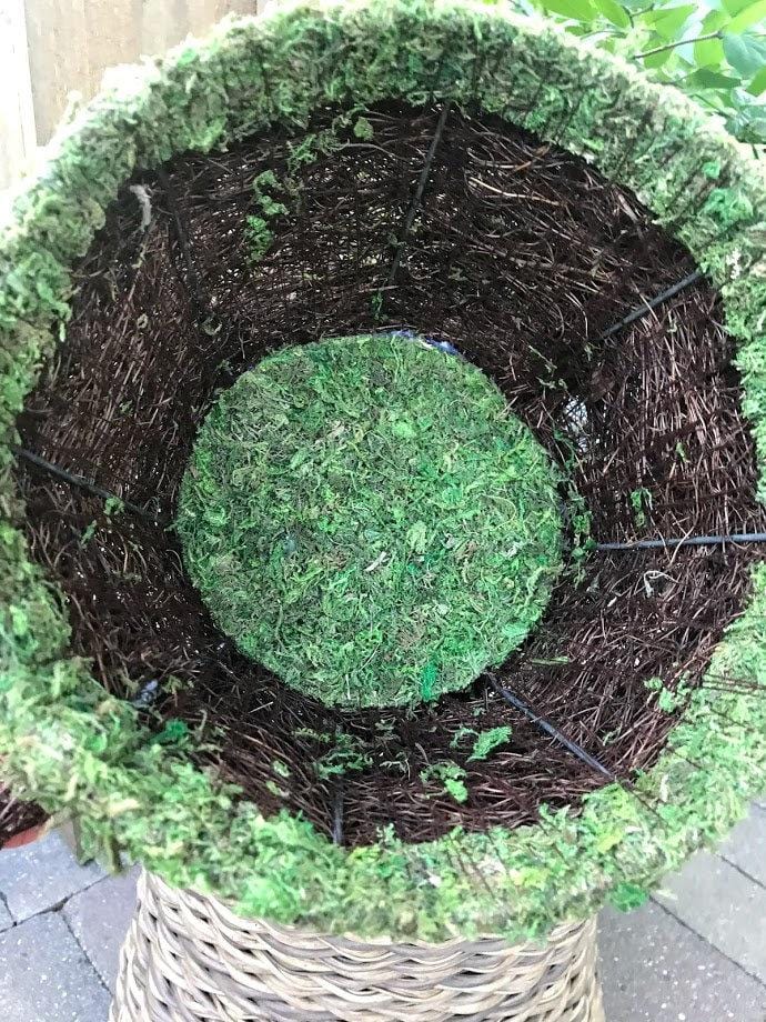 Watering Can PLANTER - Natural MOSS &#x26; Wicker