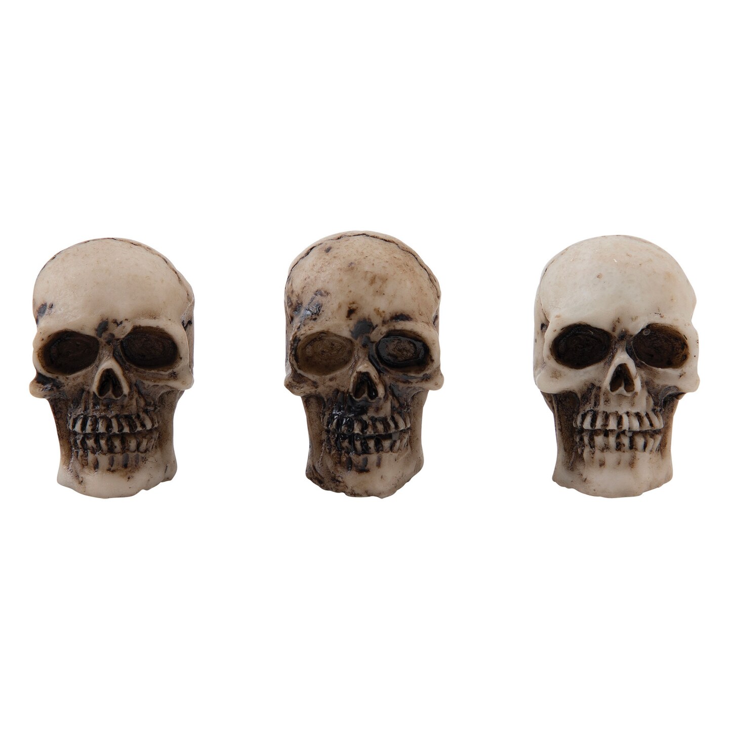 Tim Holtz Idea-Ology Skulls + Bones