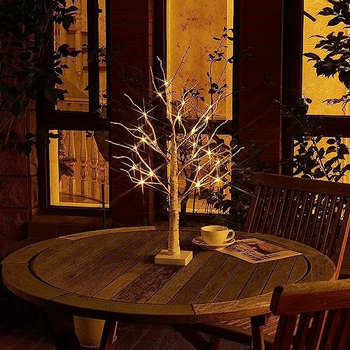EAMBRITE Tabletop Tree Christmas Decorations, Mini Birch Tree with Lights, 24 LED Lighted Money Tree White Twig Tree Battery Operated with Timer, Home Centerpiece, Indoor Decor(2FT/Warm White)