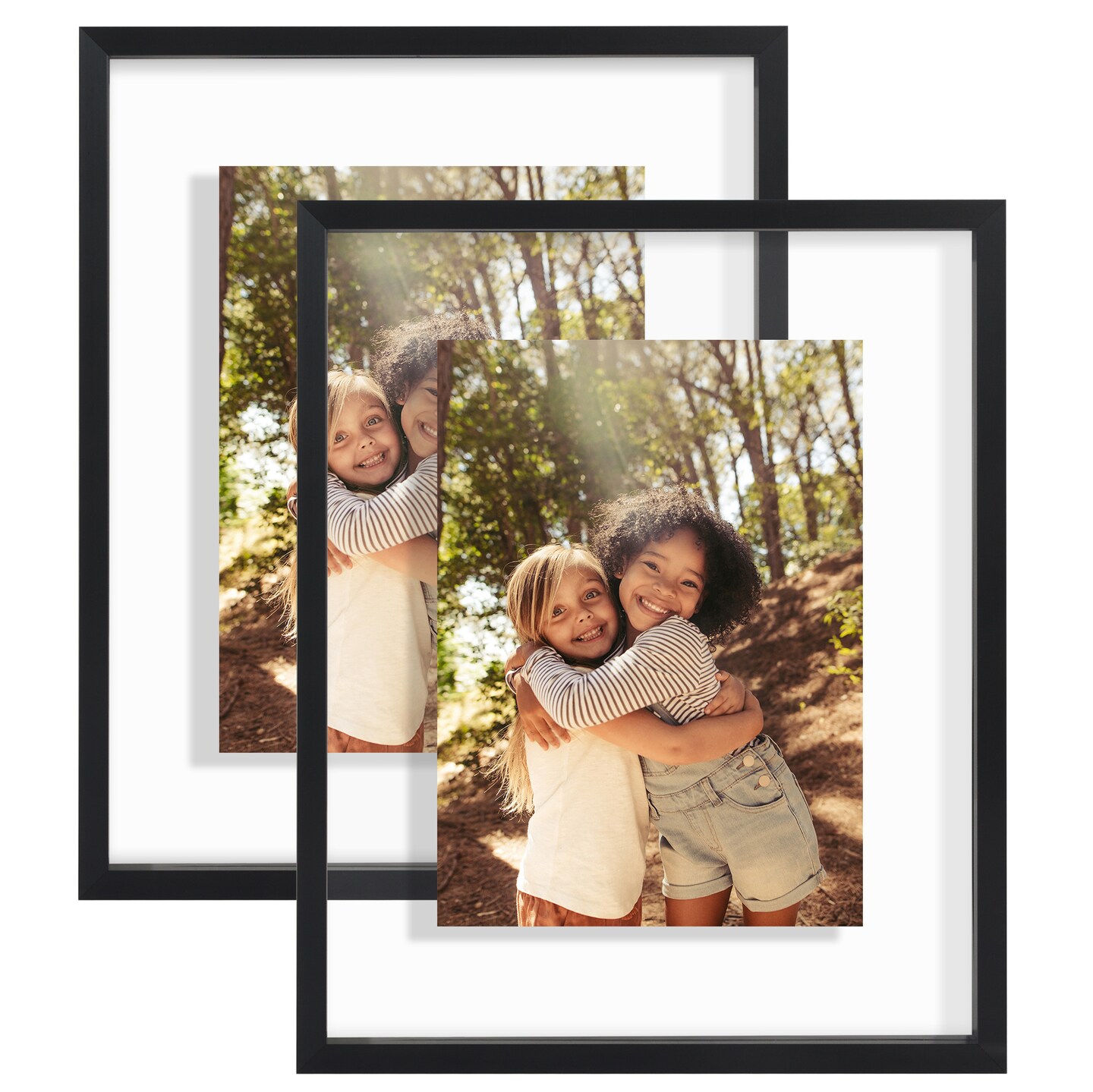 Americanflat Floating Aluminum & Plexiglass Picture Frame Michaels