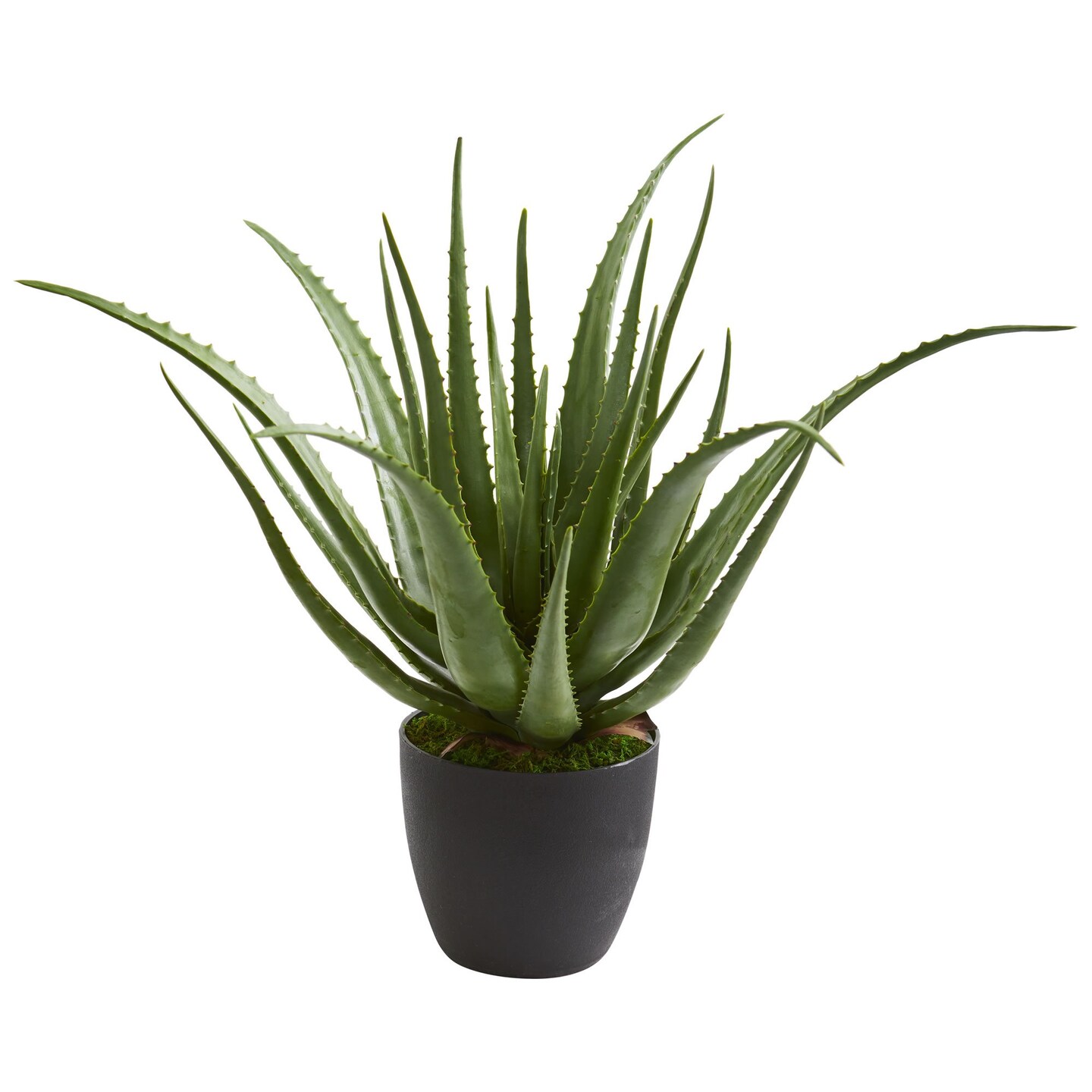 Aloe Artificial Plant Michaels