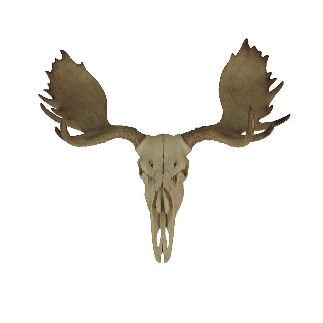 Large Lifelike Bull Moose Skull Hanging Wildlife Decor Statue