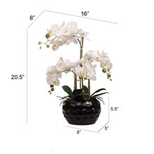 Phalaenopsis Orchid Arrangement: 20-Inch, Floral D&#xE9;cor by Floral Home&#xAE;