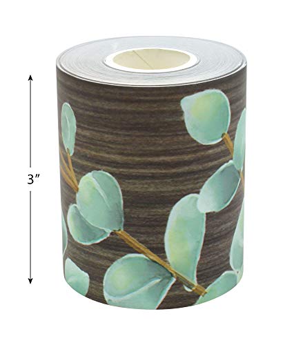 Eucalyptus Straight Rolled Border Trim - 50ft - Decorate Bulletin Boards, Walls, Desks, Windows, Doors, Lockers, Schools, Classrooms, Homeschool & Offices