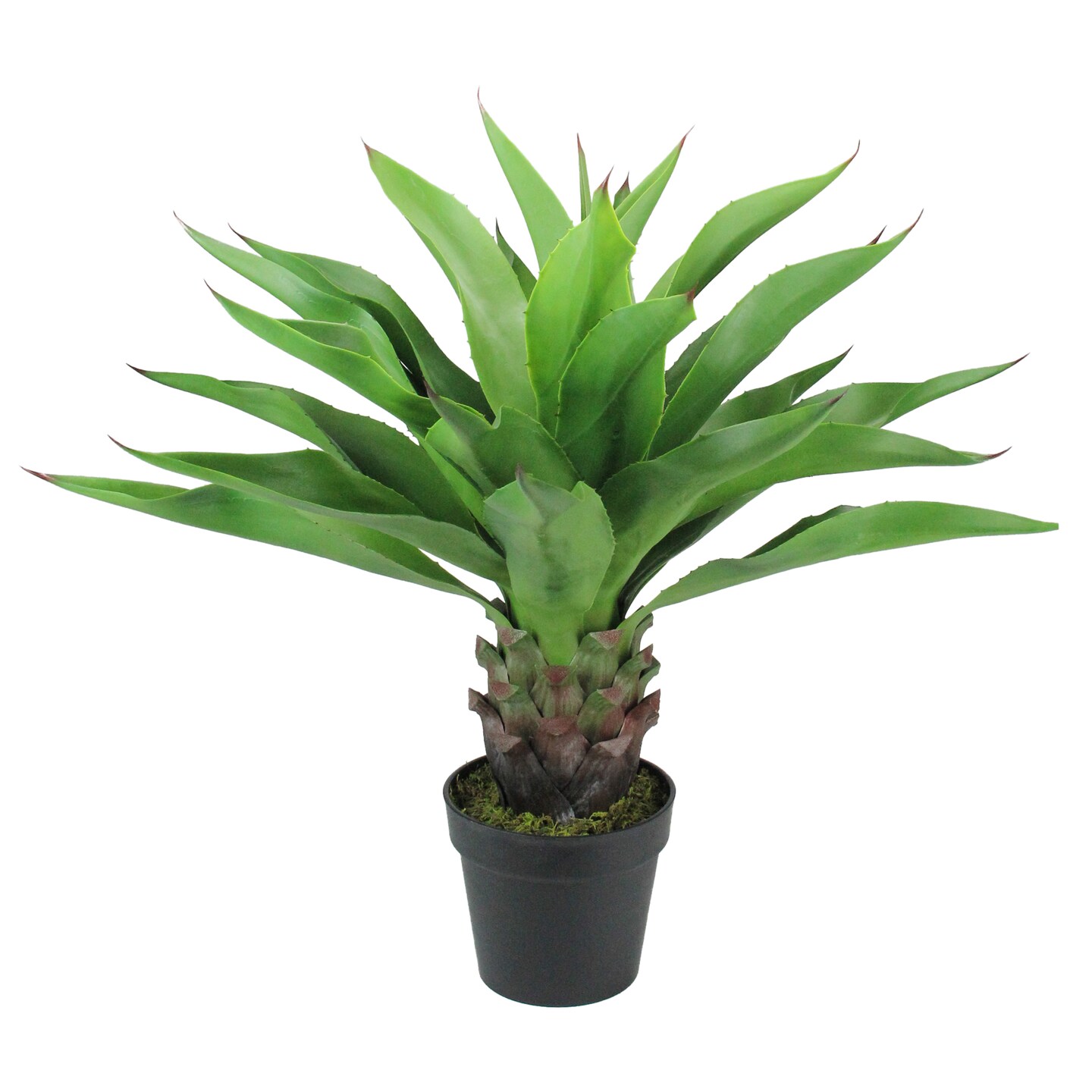 Northlight Real Touch&#x2122;&#xFE0F; Green Artificial Agave Succulent Plant In a Black Pot - 30.5&#x22;