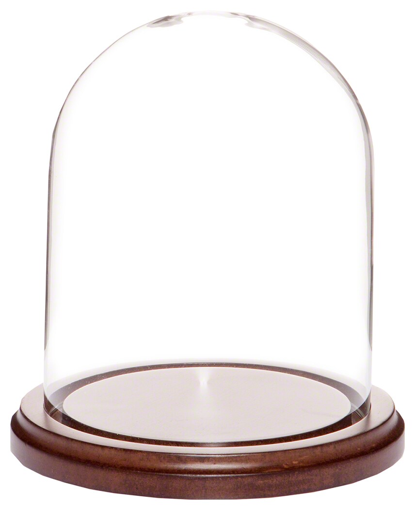 Plymor 4.5" x 6" Glass Display Dome Cloche Michaels