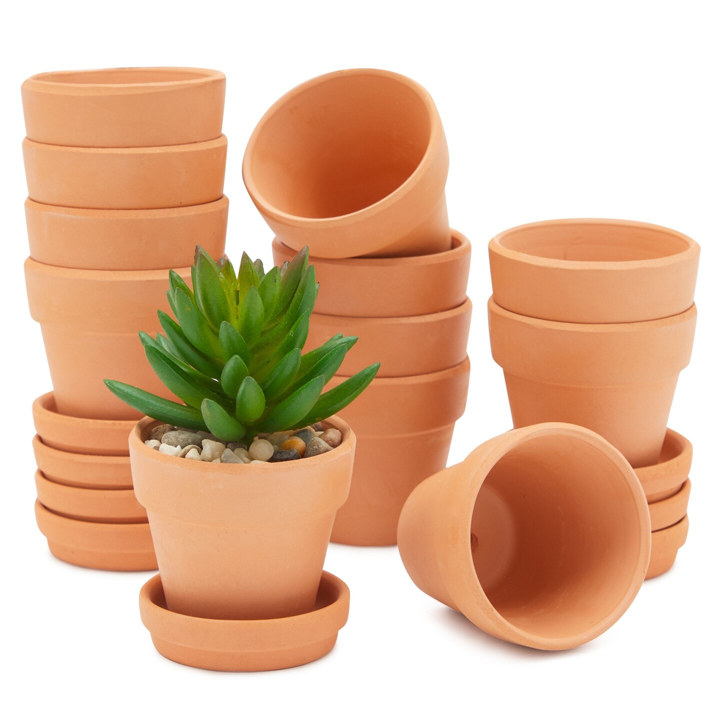 12 Pack Clay Terracotta Pots with Saucers for Succulent Plants, Flowers (2.7 x 2.5 In)