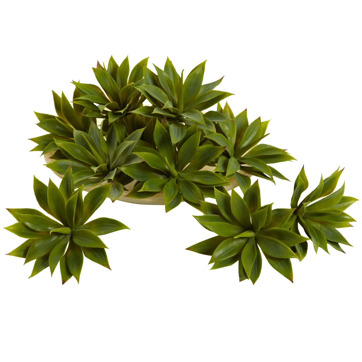 Nearly Natural   Mini Agave Succulent Plant - Set of 12
