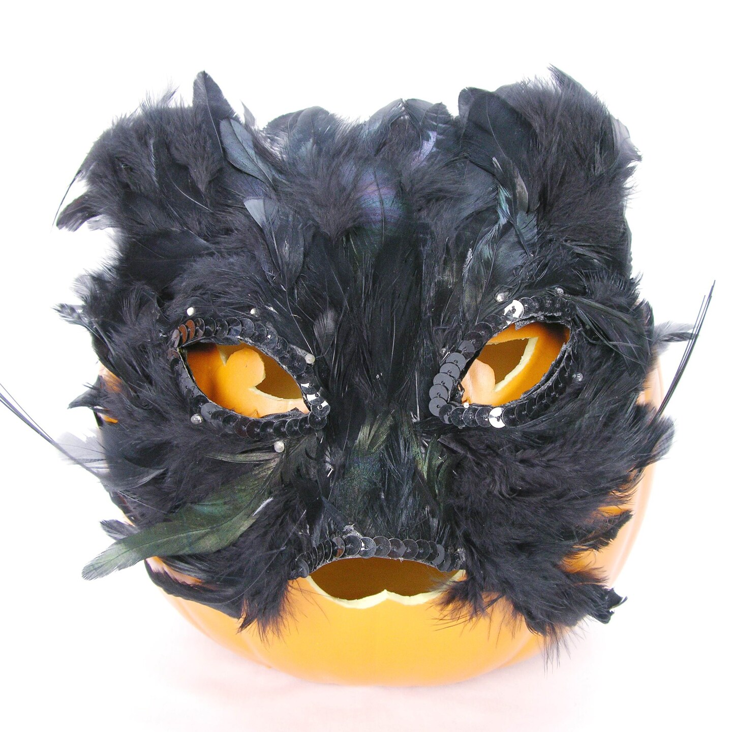 Black Cat Halloween Mask