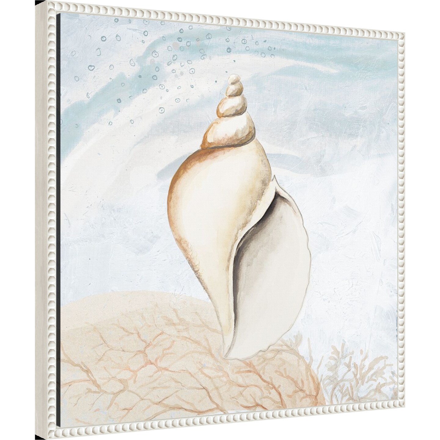 Ocean Oasis Tropical Seashell I by Patricia Pinto Framed Canvas Wall Art