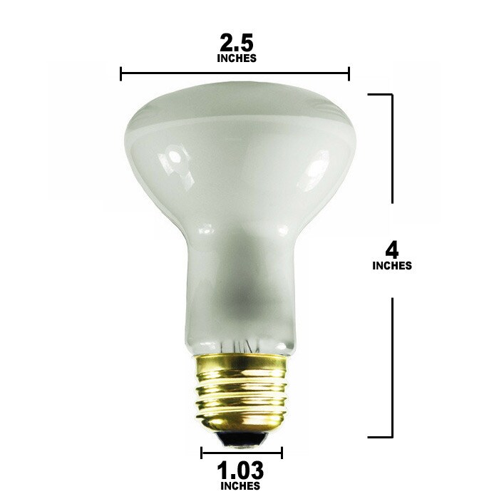 Satco S3849 45W 130V R20 Frosted E26 Medium Base Incandescent light bulb