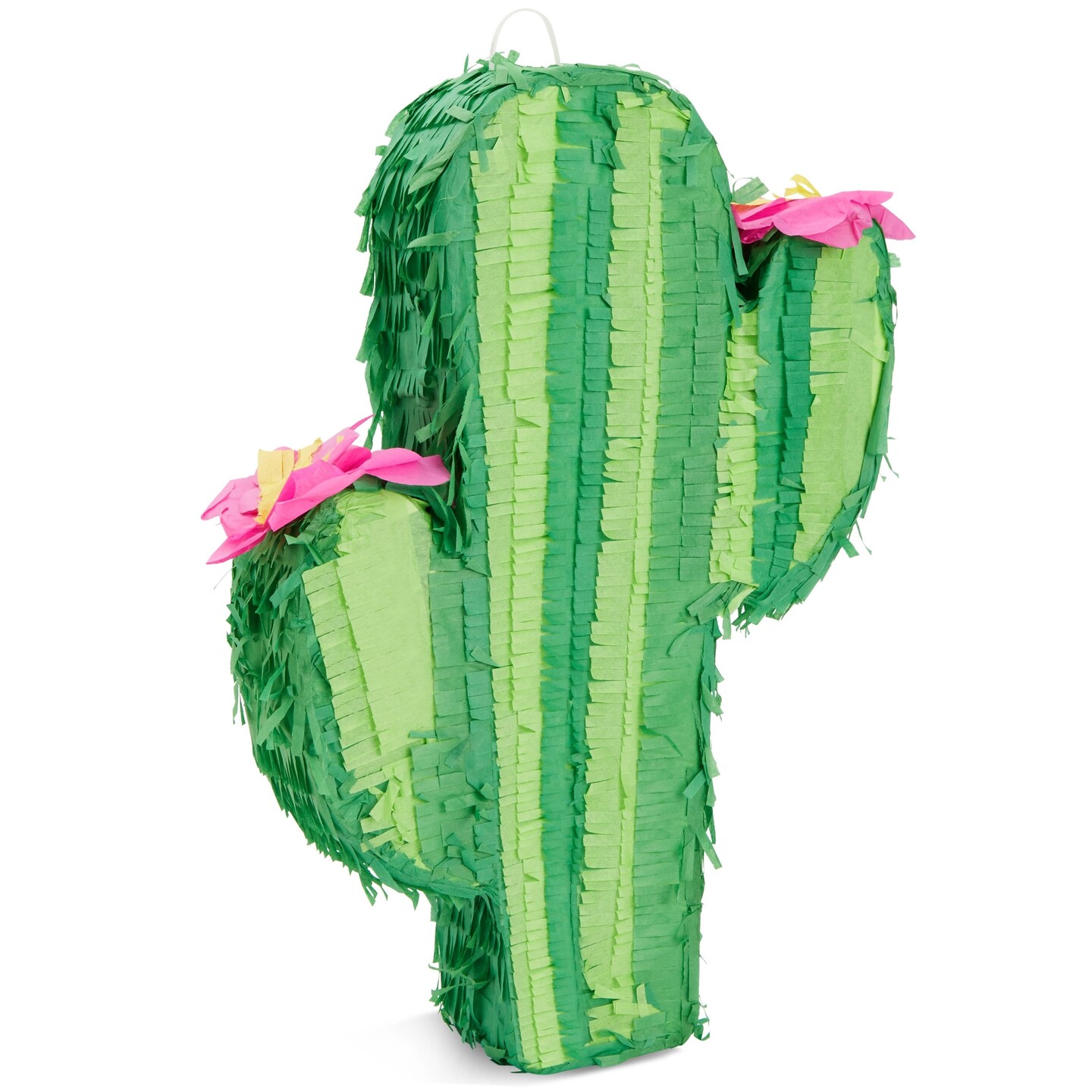 Small Cactus Pinata for Kids Birthday, Baby Shower, Cinco de Mayo, Mexican Fiesta Party Decorations (17 x 11.5 In)