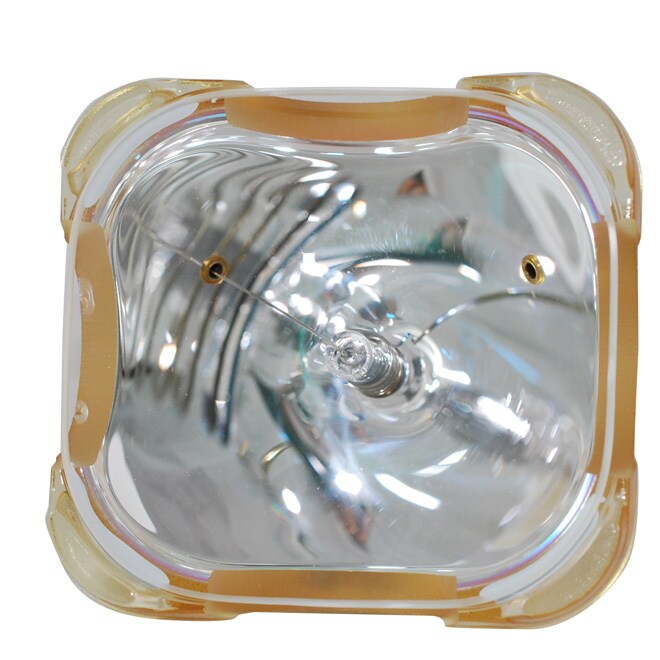 Sony LMP-H202 Projector Bulb - Philps OEM Projection Bare Bulb