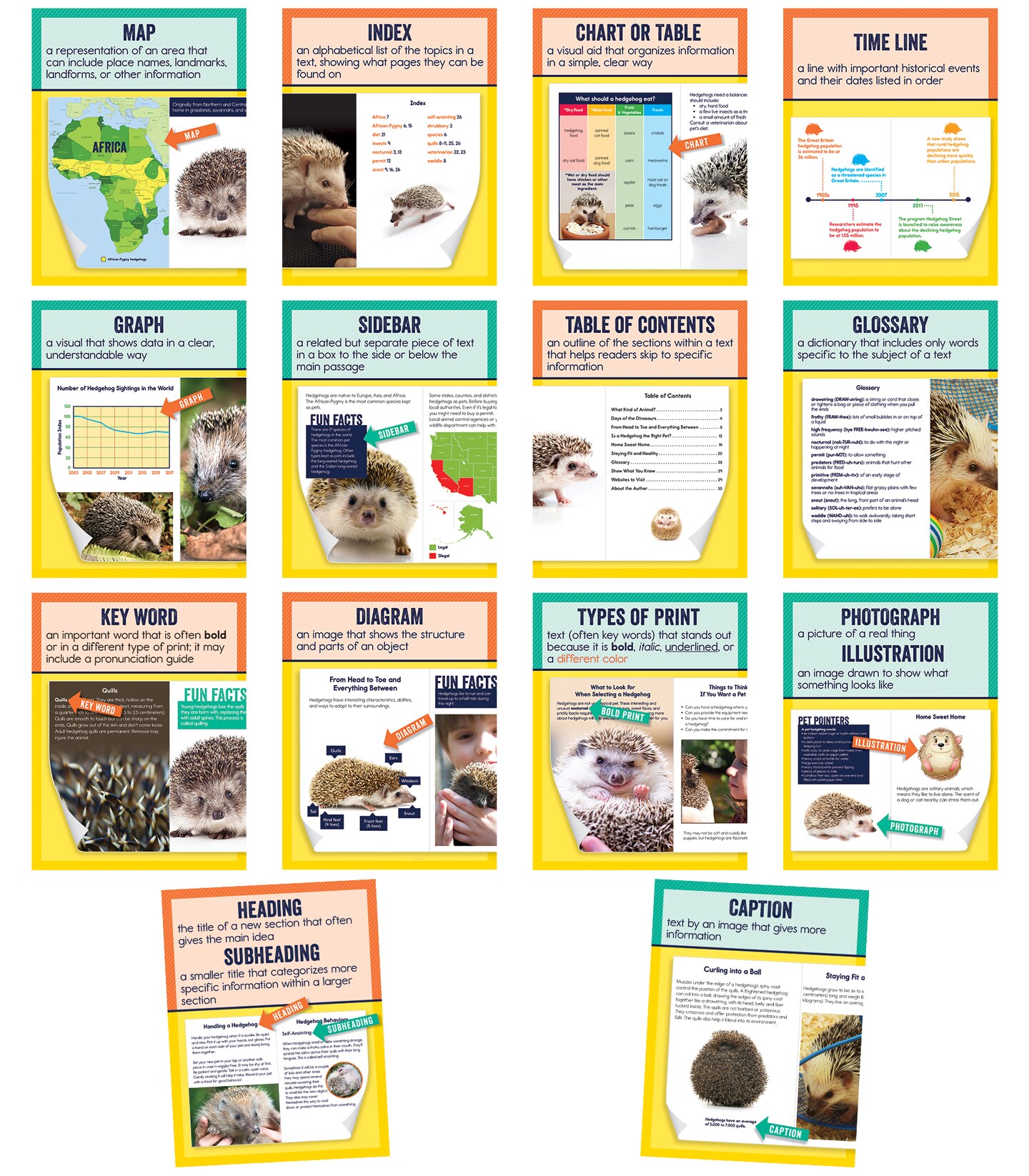 Carson Dellosa Nonfiction Text Posters, Colorful Reading Posters for Classroom, Language Arts Wall Poster Set for Wall Decor and Classroom Decor (14 Posters)