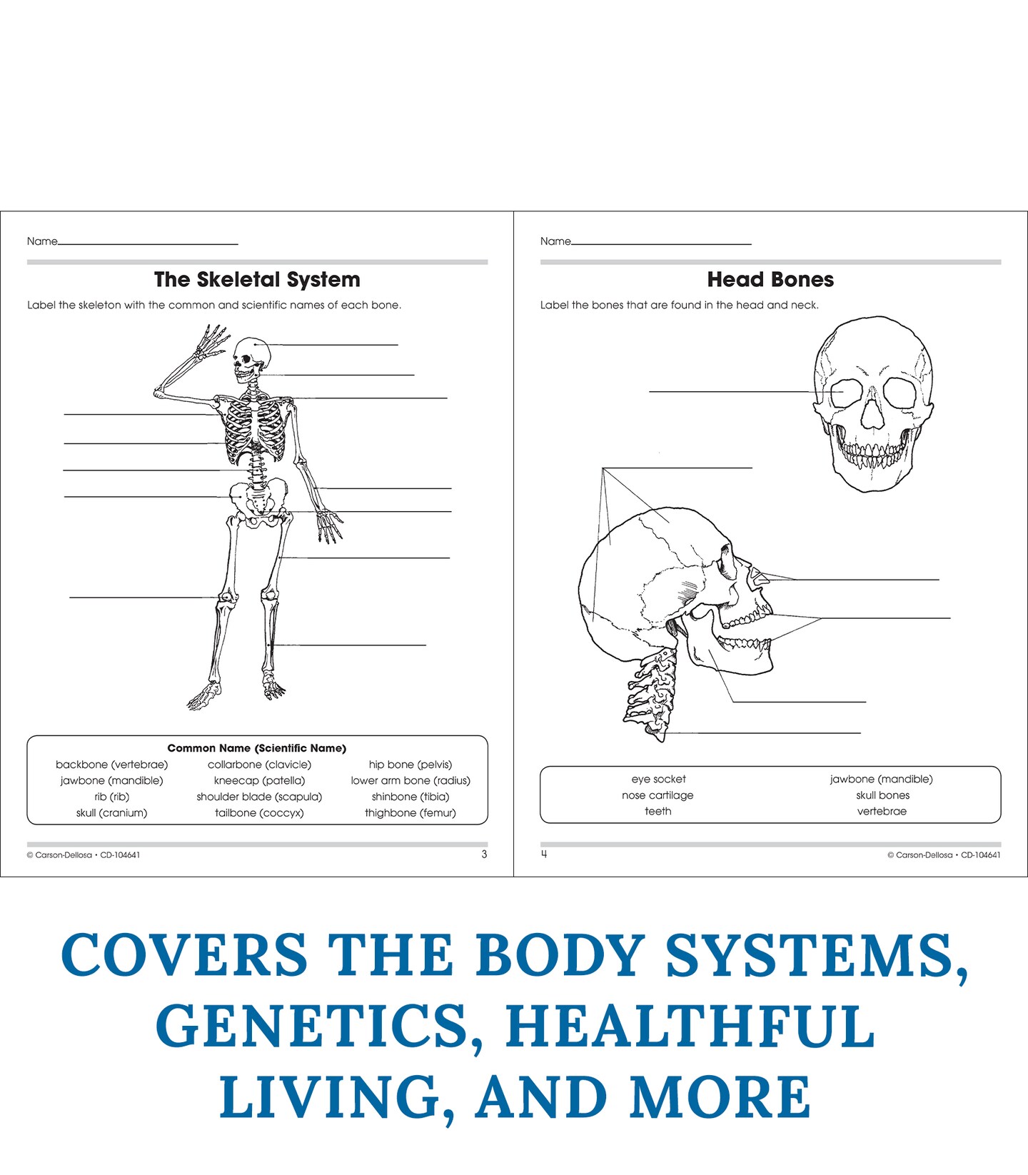 Carson Dellosa The 100+ Series: Human Body Workbook for Kids, Human Anatomy Book With Activities for Middle School Science Classroom or Homeschool Curriculum, Grades 5-8