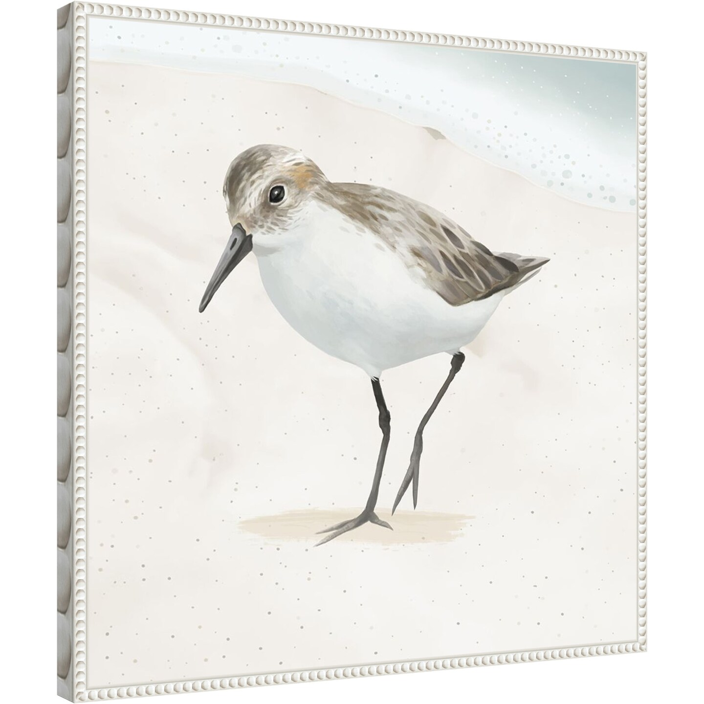 Sandpiper on the Beach II by Lucca Sheppard Framed Canvas Wall Art