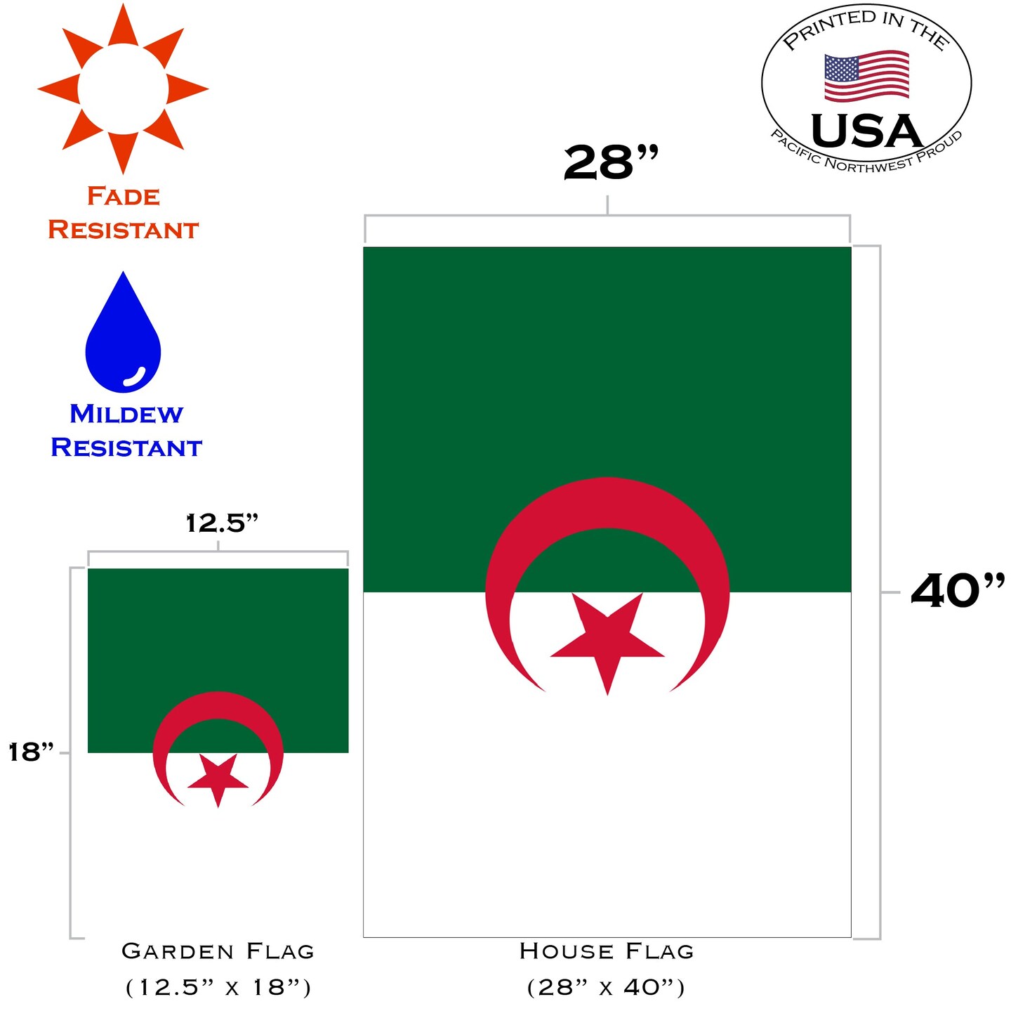 Flag of Algeria Decorative  Flag