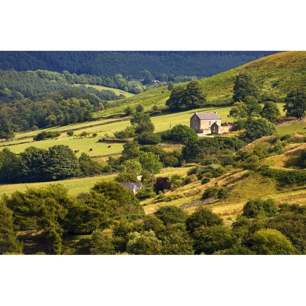Rural Landscape; Yorkshire England Uk Poster Print