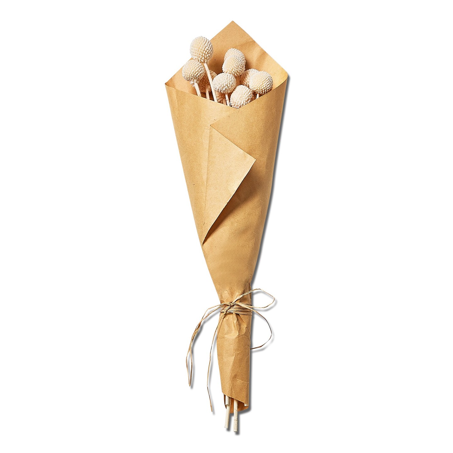 Natural Dried Plants Flower Craspedia Bunch White, 20 Inch, Indoor Door Use Only