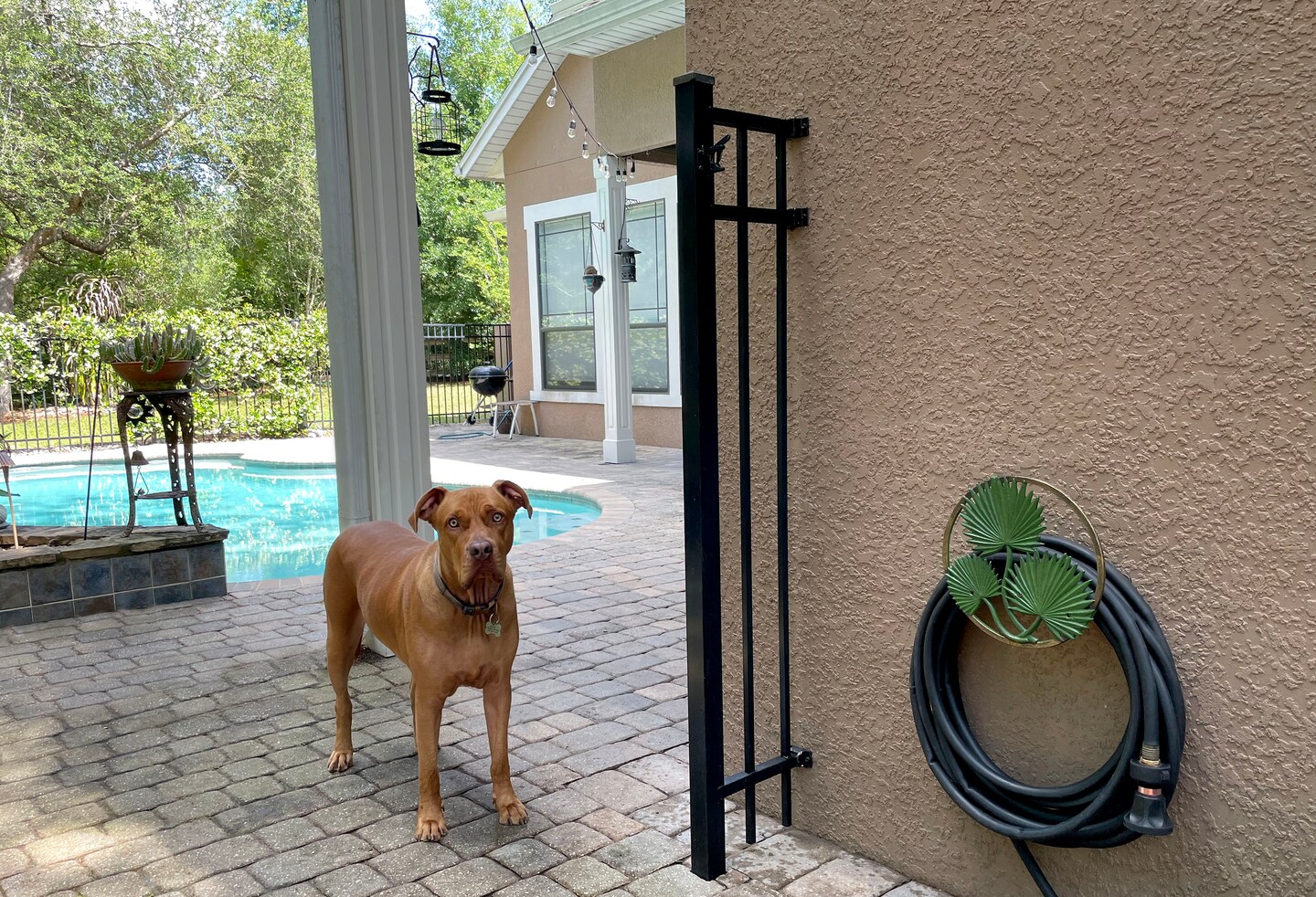 Tropical Leaf Hanging Cast Iron Decorative Wall Mounted Garden Hose Holder