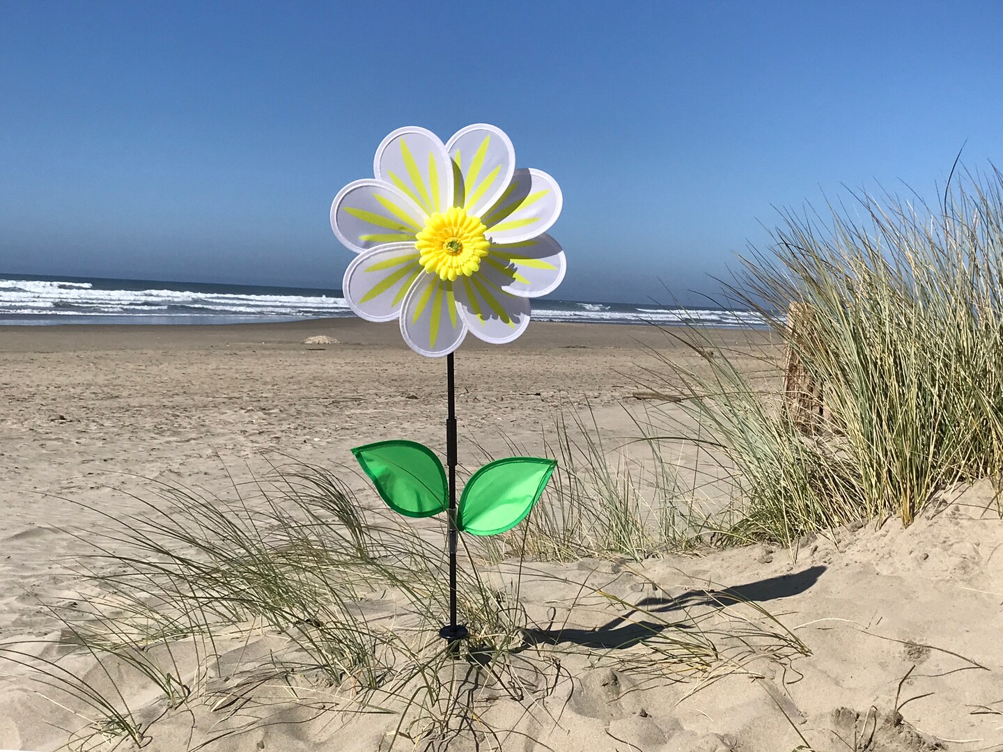 In the Breeze 2686 - 13 Inch White Daisy Flower Spinner- Colorful Spinner for your Yard and Garden