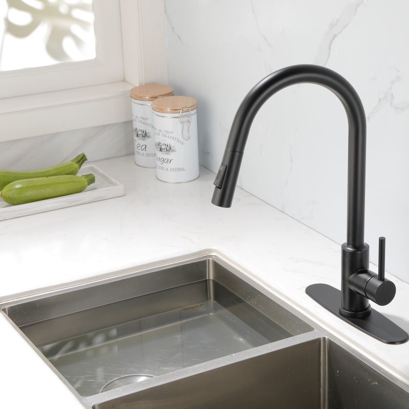Pull Down Sprayer Kitchen Faucet