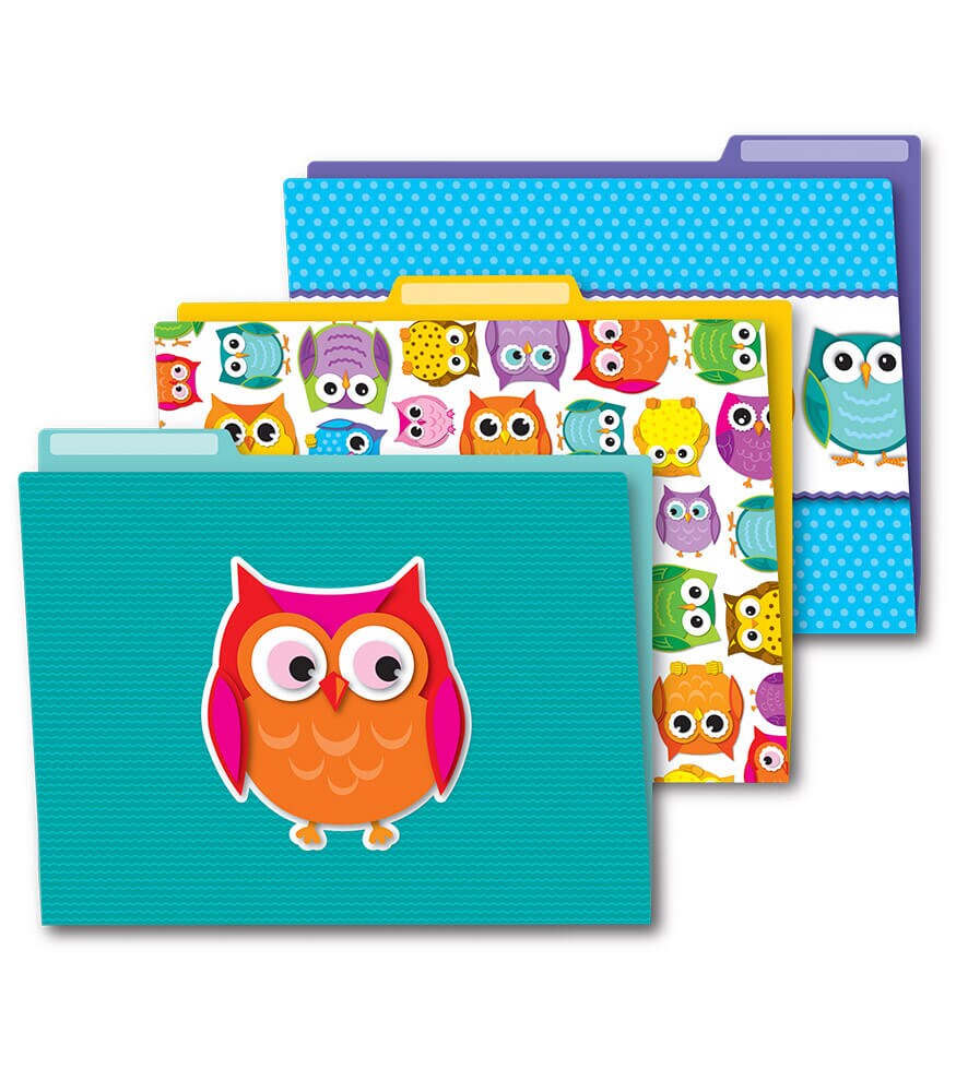 Carson Dellosa Owl Decorative File Folder Set&#x2014;11.75&#x22; x 9.5&#x22; Colored File Folders for Filing Cabinet, for Office or Classroom File Organization (6-Pack)