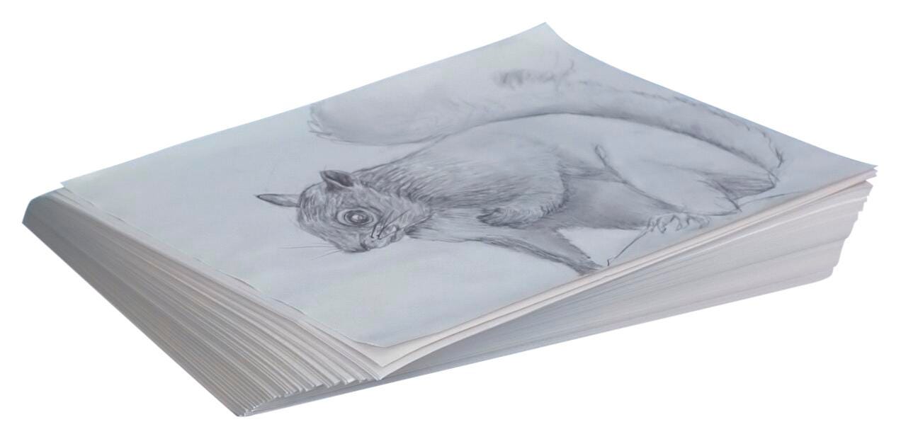 School Smart Newsprint Drawing Paper, 30 lb, 12 x 18 Inches, 500 Sheets