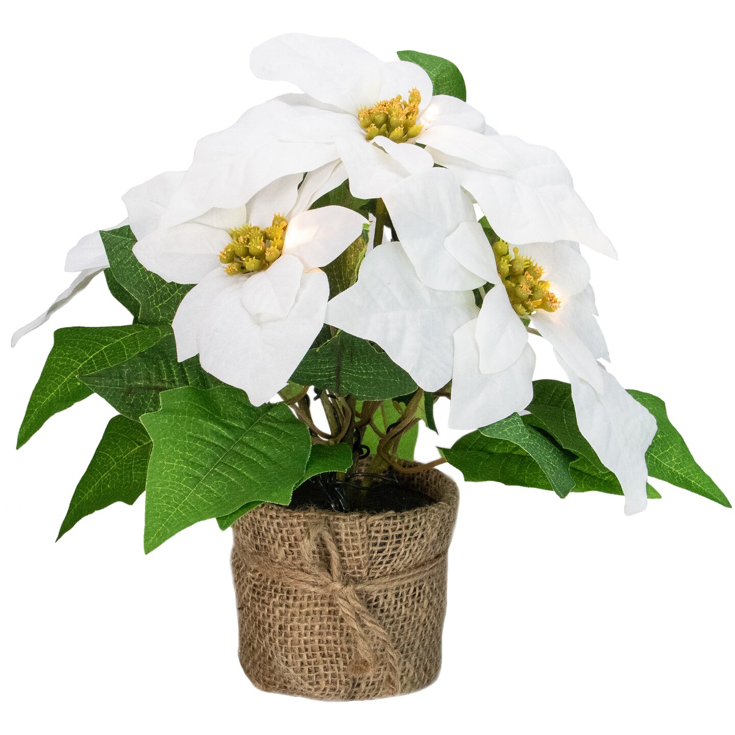Northlight 11.75&#x22; LED Artificial White Poinsettia Potted Plant - Clear Lights