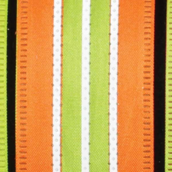 The Ribbon People Orange and Green Wired Craft Ribbon with Stripes 1.5" x 40 Yards