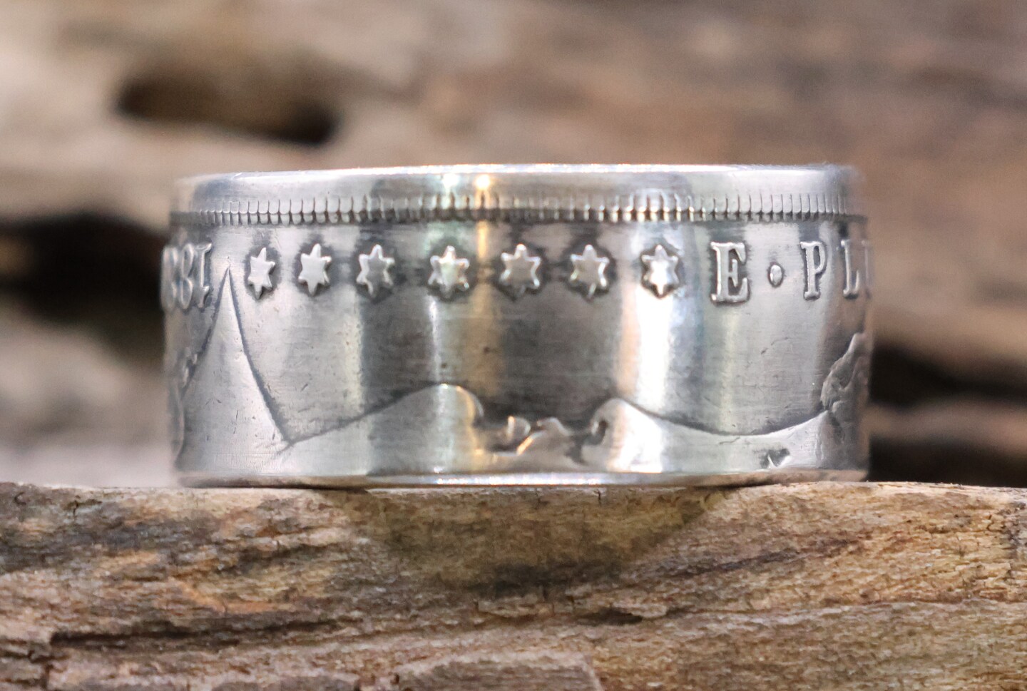 Morgan Silver Dollar - Obverse (Dates Vary) | MakerPlace by Michaels