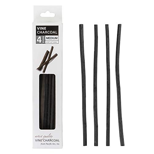 LOONENG Willow Charcoal Sticks Natural Willow Charcoal for Artists  Beginners or Students of All Skill Levels Great for Sketching Drawing and  Shading Approx 7-9mm in Diameter Pack of 25