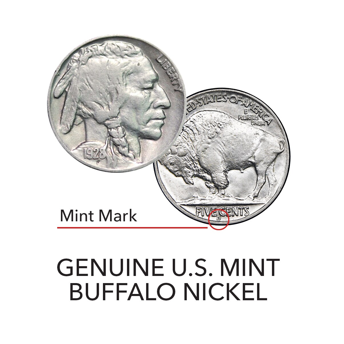 Buffalo Nickel Coin Set