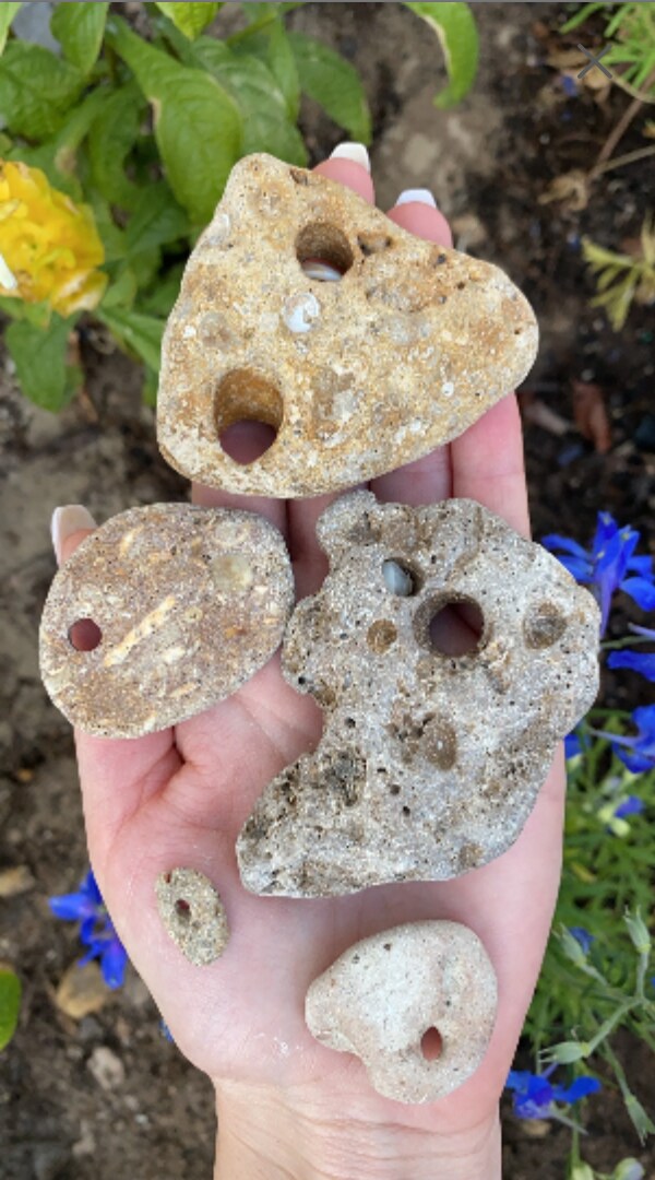 5 Hag Stones | Cleansing Tools | Purification and Good Luck | Size: A ...