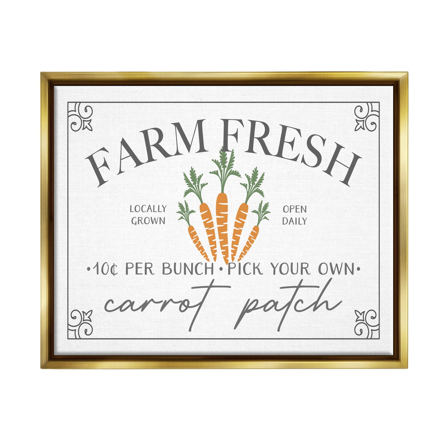 Stupell Industries Farm Fresh Carrot Patch Black Framed Floater Canvas Wall Art