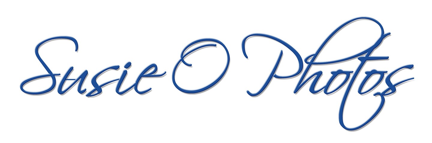 storefront banner