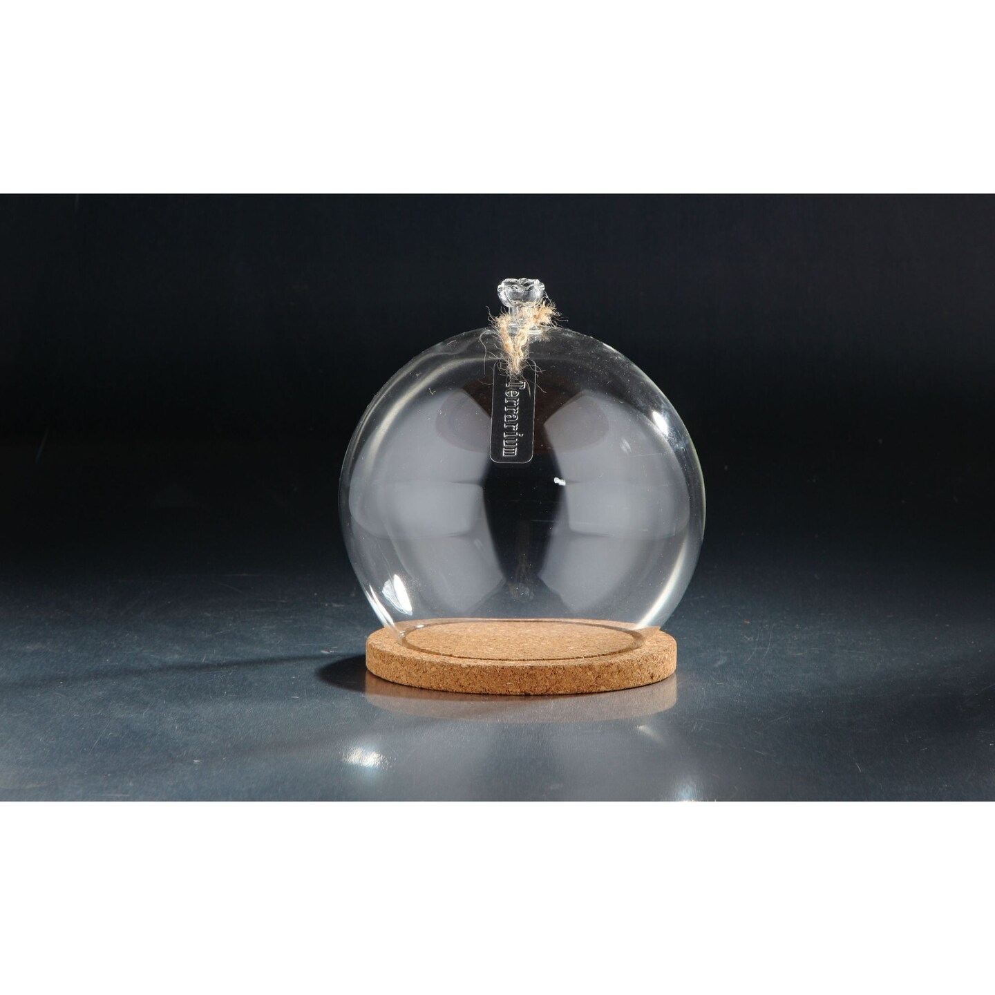CC Home Furnishings 8.5&#x22; Cloche Terrarium Glass Vase