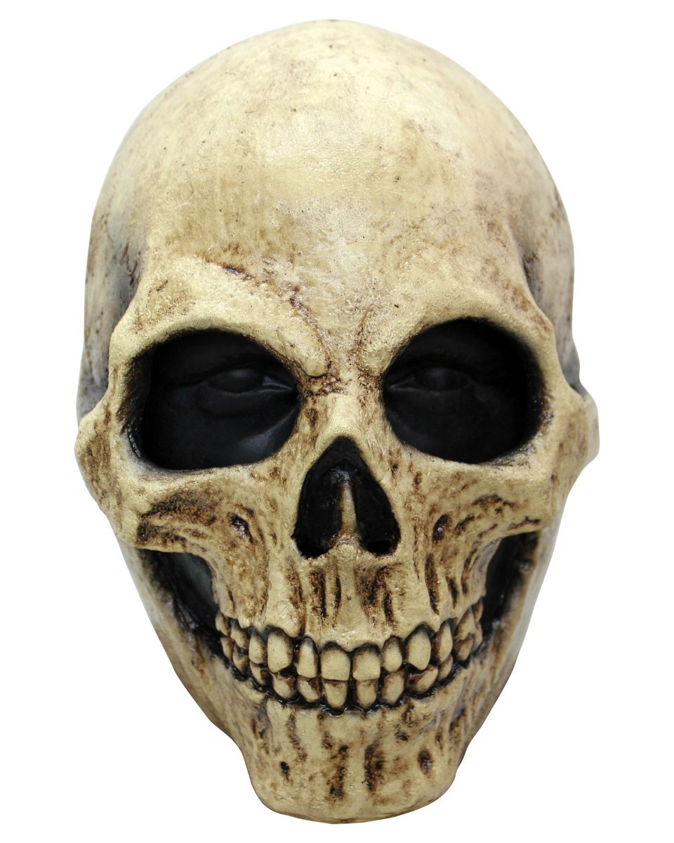 The Costume Center Ivory and Black Bone Skull Halloween Unisex Adult Mask Costume Accessory - One Size