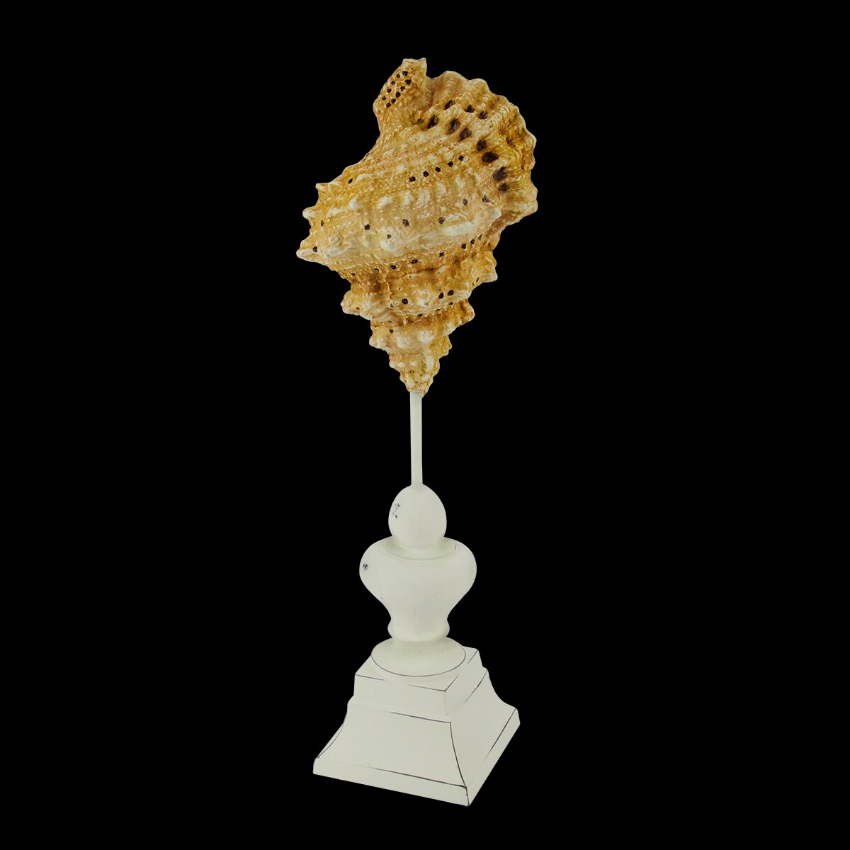 Gallerie II 14" Beach Inspired Brown and Cream Seaside Seashell on Pedestal Finial Decoration