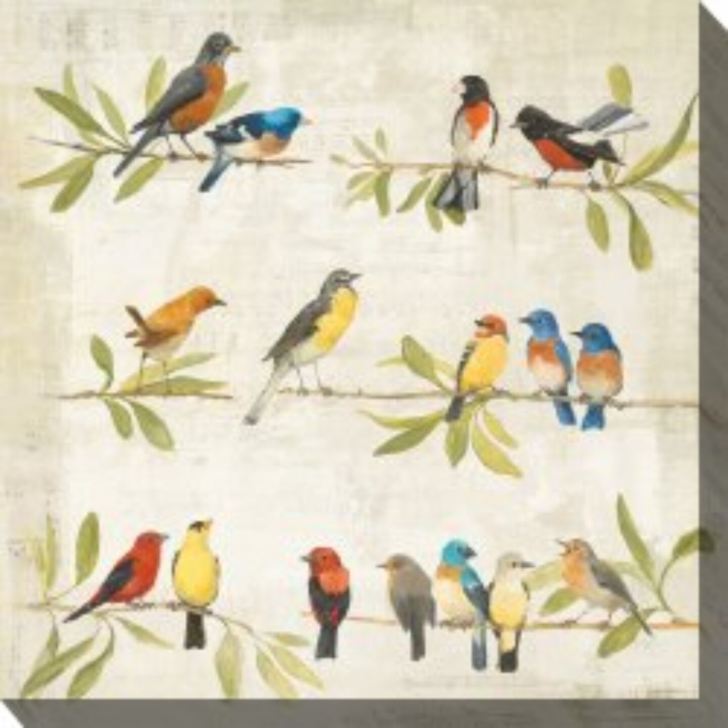 Outdoor Living and Style Beige and Green Birdsong Outdoor Canvas Square Wall Art Decor 24&#x22; x 24&#x22;