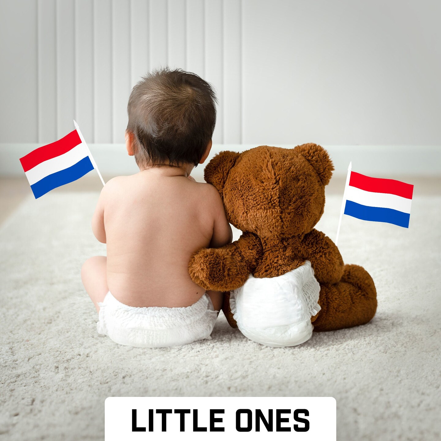 G128 50 Pack Handheld Netherlands Dutch Stick Flags | 4x6 In | Printed 150D Polyester, Country Flag, Solid Plastic Stick, Spear White Tip