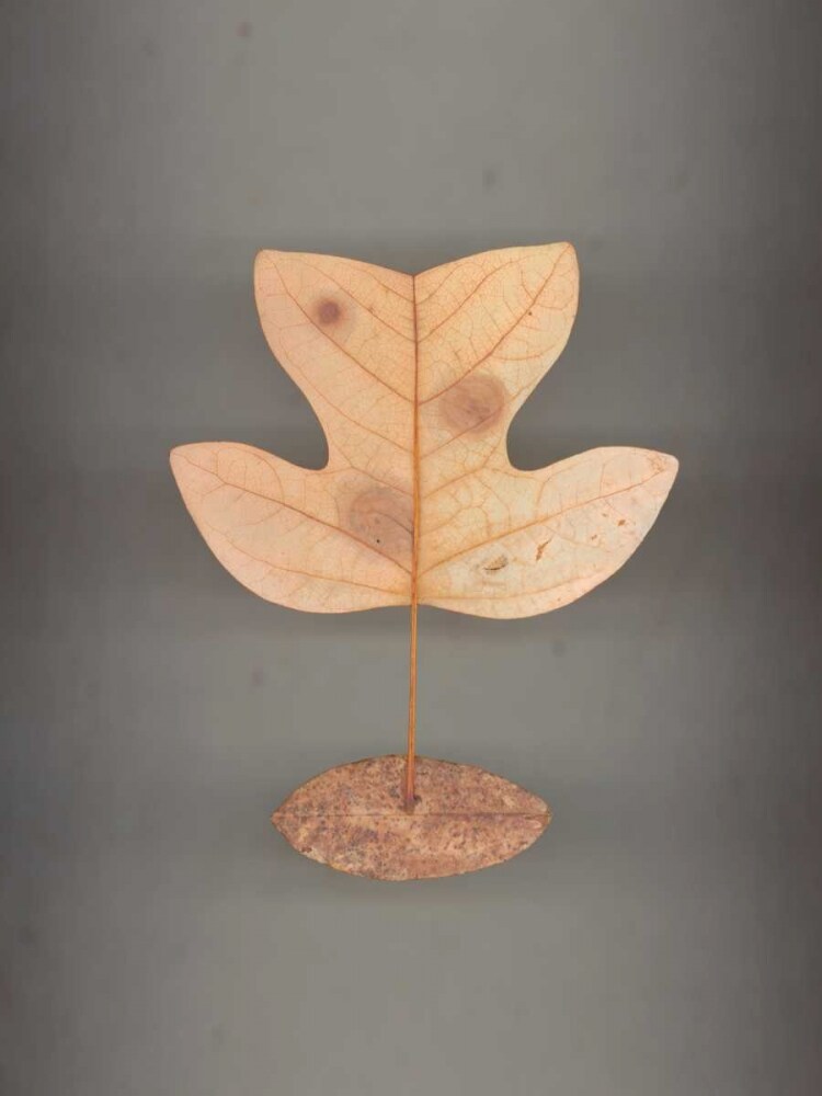 Assemblage 43 Poster Print by John Watson - Item # VARPDXJW103T