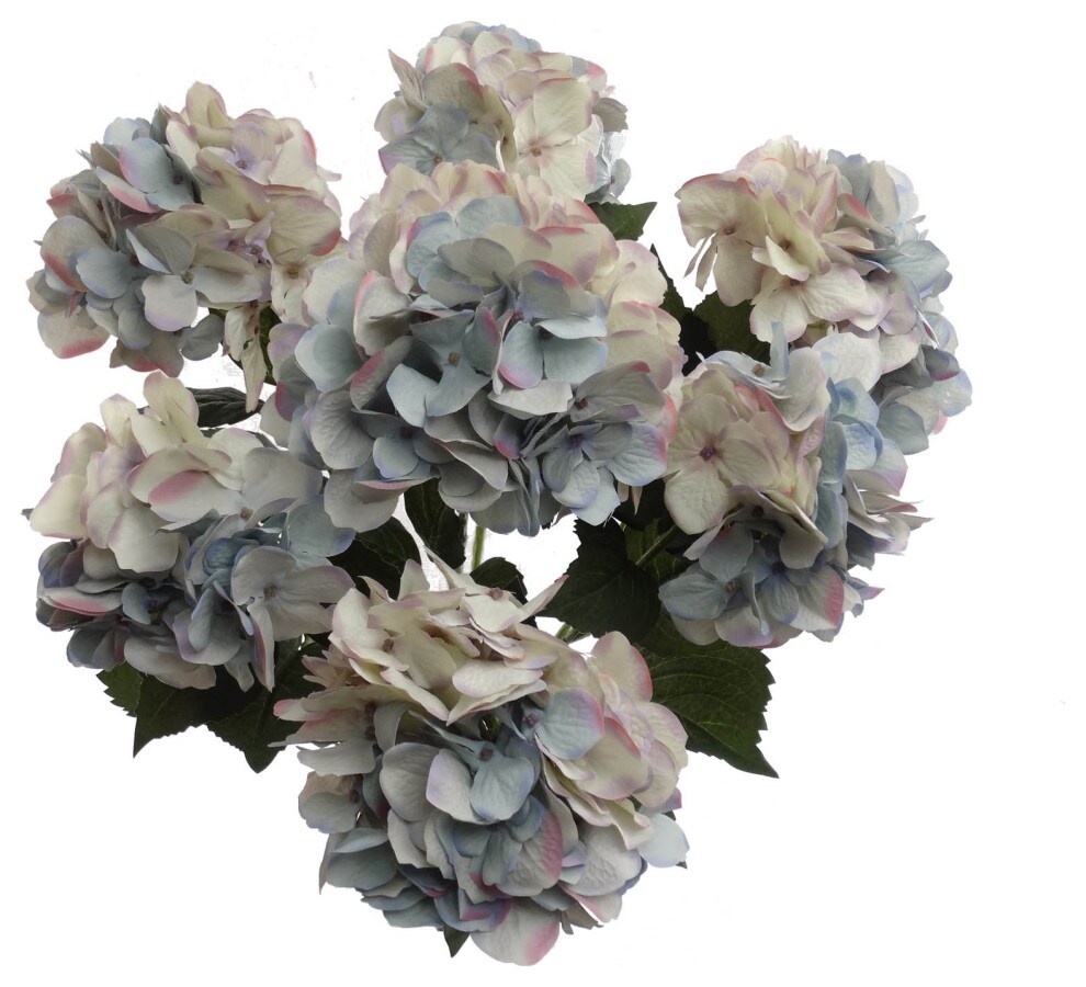 2-Pack: 20&#x22; UV Dirty Blue Hydrangea Bush by Floral Home&#xAE;